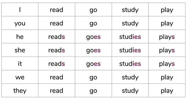 Examples for Third Person Singular Verb Conjugation