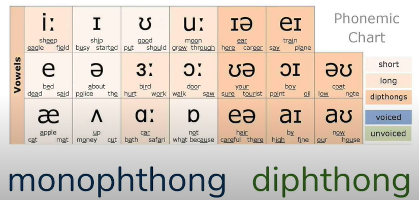 Vowel Sounds